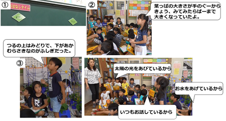 太陽の光を浴びているからじゃないかな画像