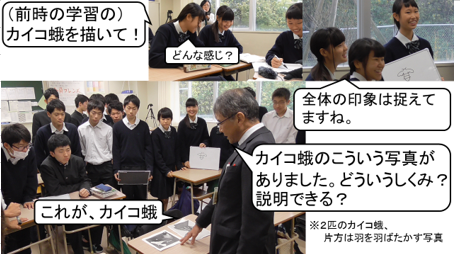 動物の行動について振り返る画像