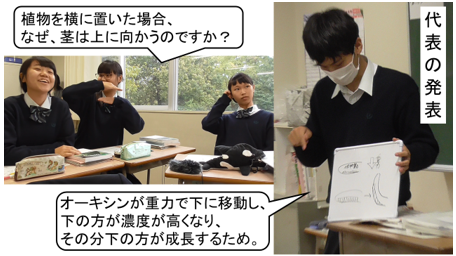 植物の光屈性について、理解する画像