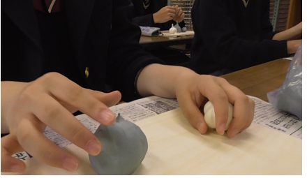 触覚を頼りに観察しよう画像